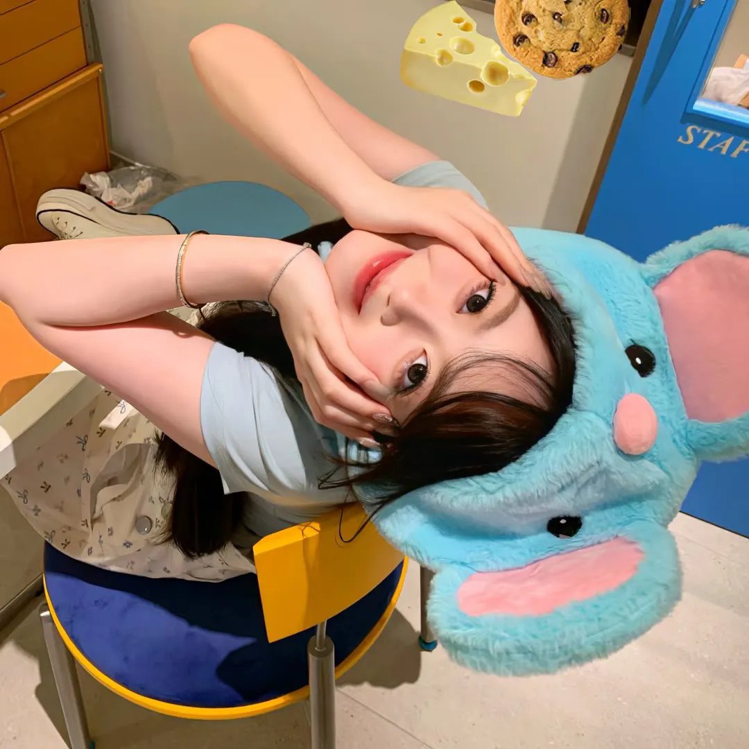 汪星人的奇思妙想